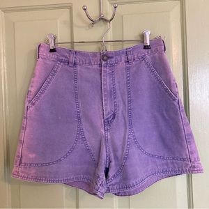 Vintage Patagonia Stand Up Shorts Purple Waist Size 26"